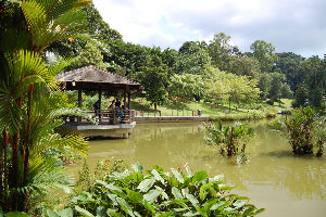 Singapore Botanic Gardens