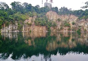 Bukit Timah Nature Reserve
