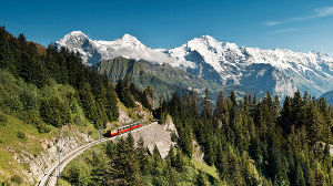 Schynige Platte 