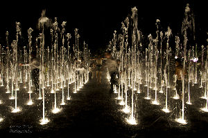 Wohl Rose Park and Teddy Park