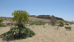Museum of Nature