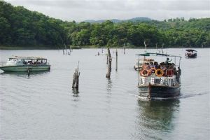 Boat Cruise 