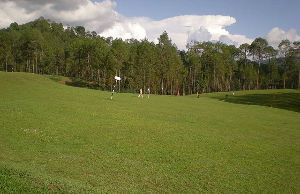 Upat Golf Course 