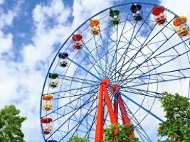 Hillsborough County Fair