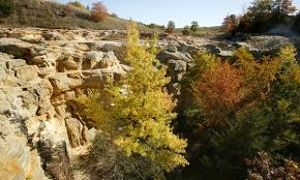 Buffalo Rock State Park