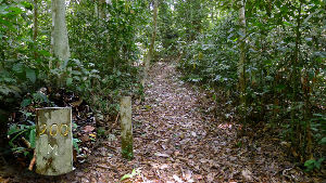 Bombalai Hill