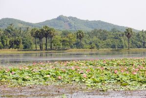 Bilu Kyun