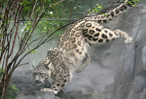 Majathal Wildlife Sanctuary