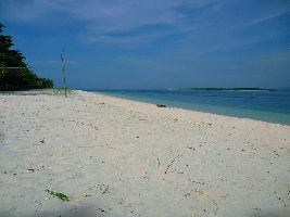 Great Santa Cruz Island