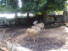 Dehiwala Zoo