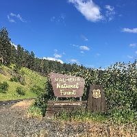 Malheur National Forest