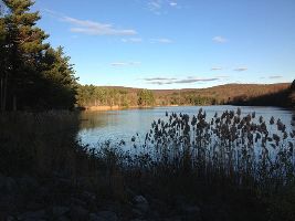 Meshomasic State Forest