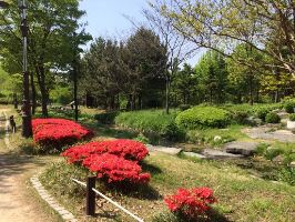 Hanbat Arboretum