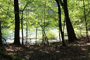 Morasko Meteorite Nature Reserve