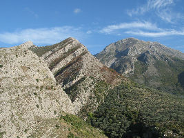 Rumija