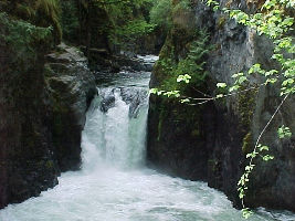 Englishman River Falls Provincial Park