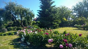 Klaipeda University Botanical Garden