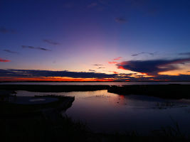 Zhalong Wetland