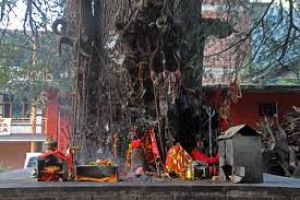 Ghatotkach Tree Temple