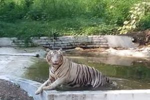 National Zoological Park