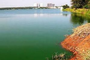 Singanallur Lake