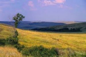 Black Sea Biosphere Reserve