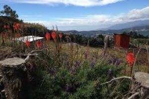 Benito Juarez National Park