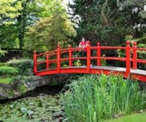 Irish National Stud & Gardens