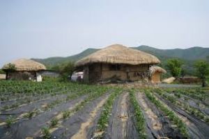Hahoe Folk Village