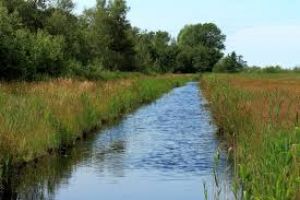 De Alde Feanen National Park