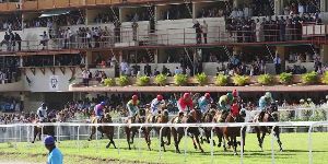 5 Days 4 Nights mauritius Tour Package by VINAYAK TRAVELS PVT. LTD.