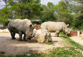 Montpellier Zoological Park