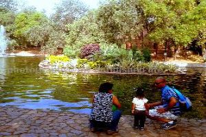 Morning heritage walk at Lodi Gardens