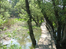 Inundation Area of Vac