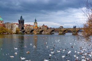 Stroll across the Charles Bridge