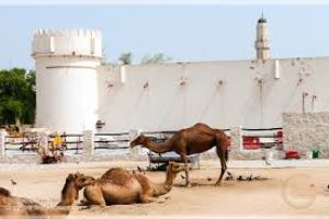 Doha Fort