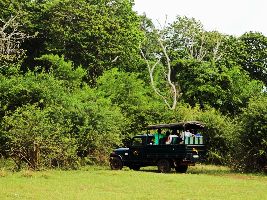Bhadra Wildlife Sanctuary Jeep Safari