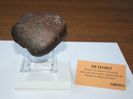 Museum of Natural Sciences