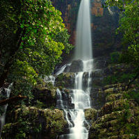 Thalakona Waterfalls