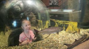 The Exploration Place