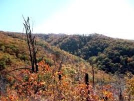 Buffalo Mountain Park