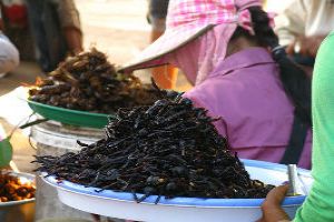Taste the Spiders at the Spider Market of Skuon