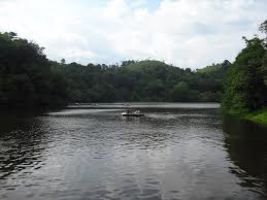 Pookode Lake