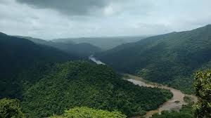 The Mountain Biking in Dandeli Jungle 