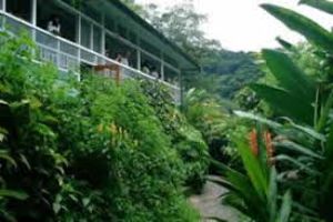 Asa Wright Nature Center 