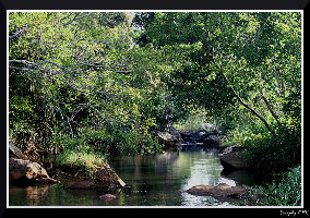 Kolli Hills
