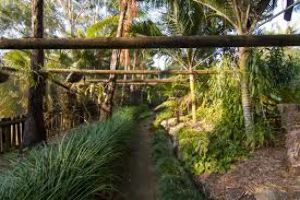 Wollongong Botanic Garden