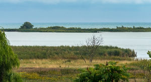 McLaughlin Bay Wildlife Reserve