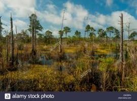 Bon Secour National Wildlife Refuge