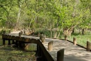 Conservation Nature Center